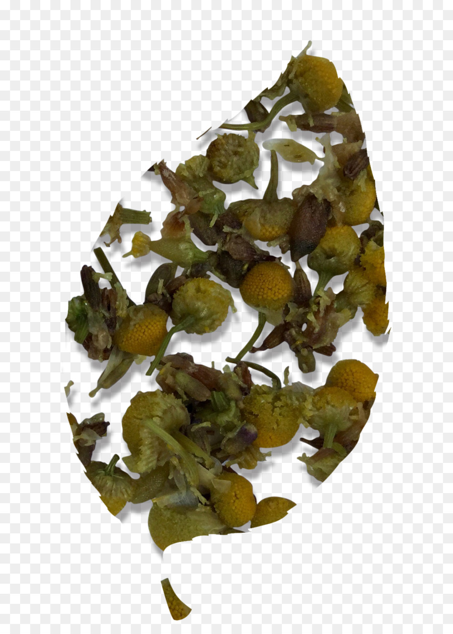 Feuilles De Thé，Thé Vert PNG