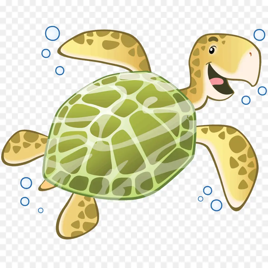 Tortue，Dessin Animé PNG