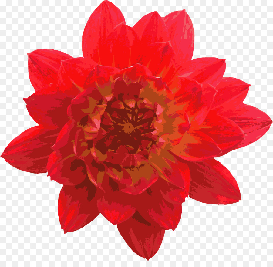 Fleur Rouge，Fleurir PNG