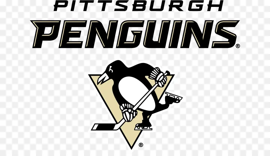 Penguins De Pittsburgh，Ligue Nationale De Hockey PNG