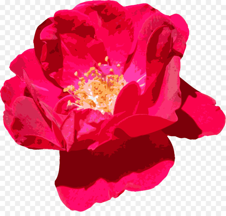 Roses De Jardin，Fleur PNG