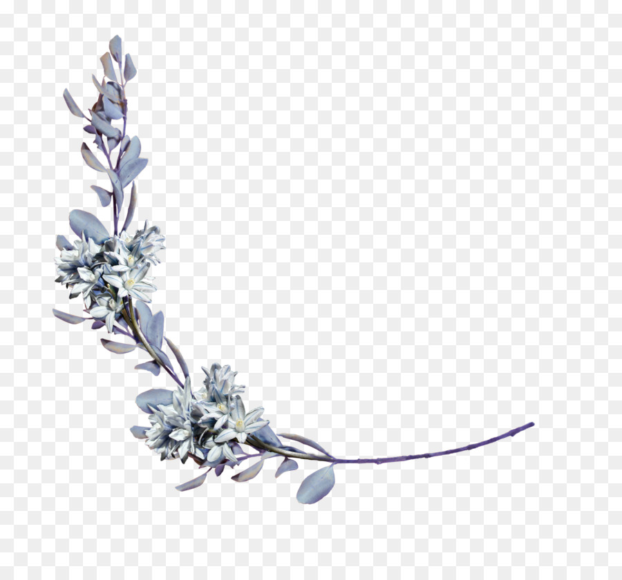 Lavande，Violet PNG