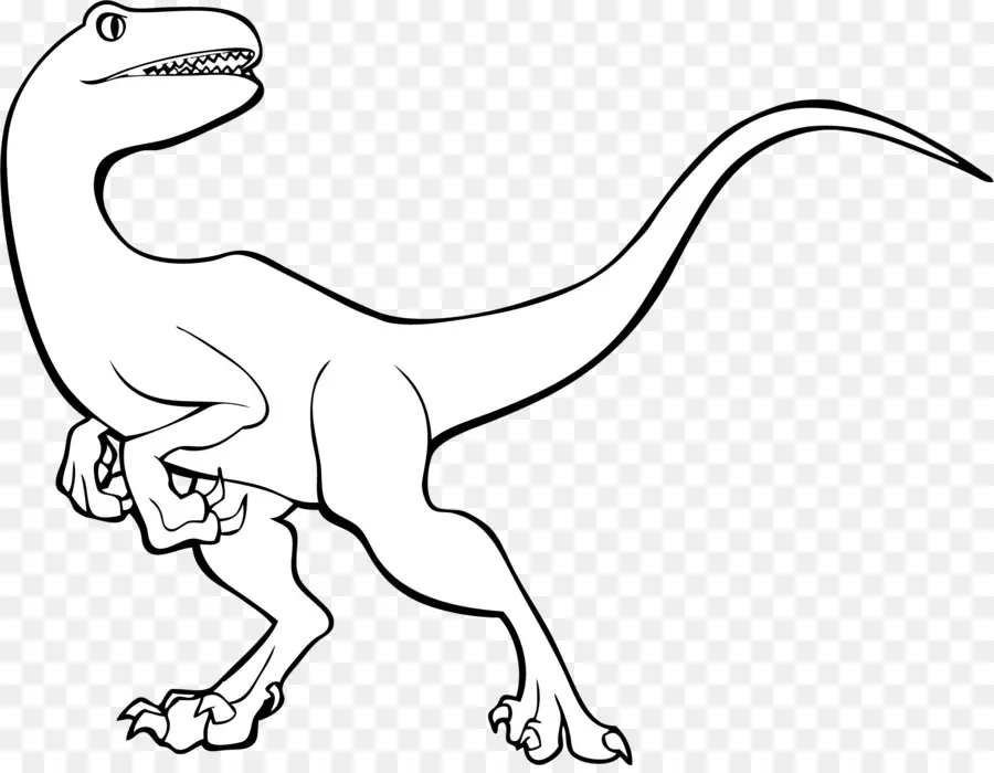 Le Tyrannosaure，Velociraptor PNG