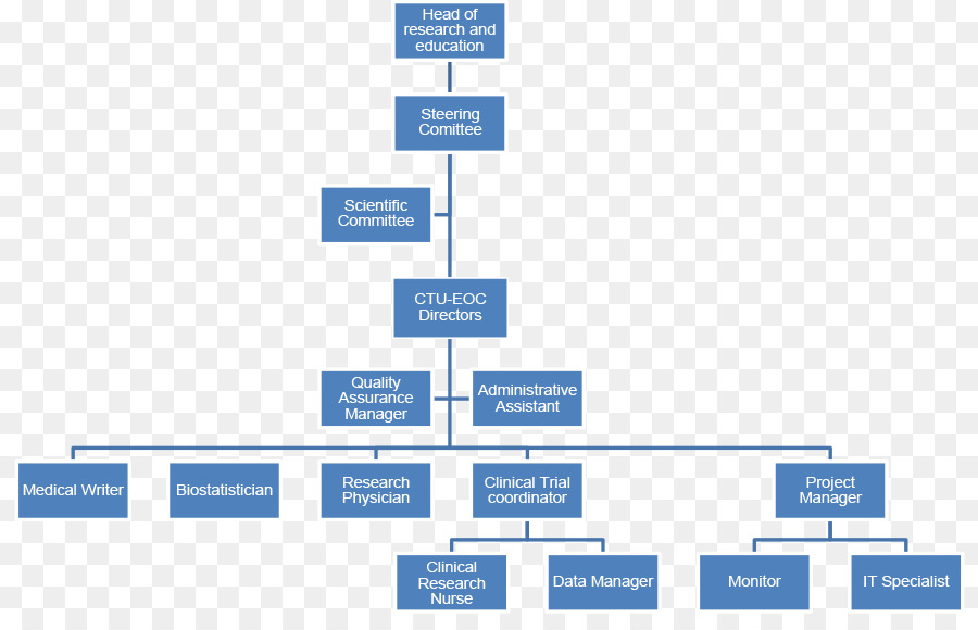 Organigramme，Hiérarchie PNG