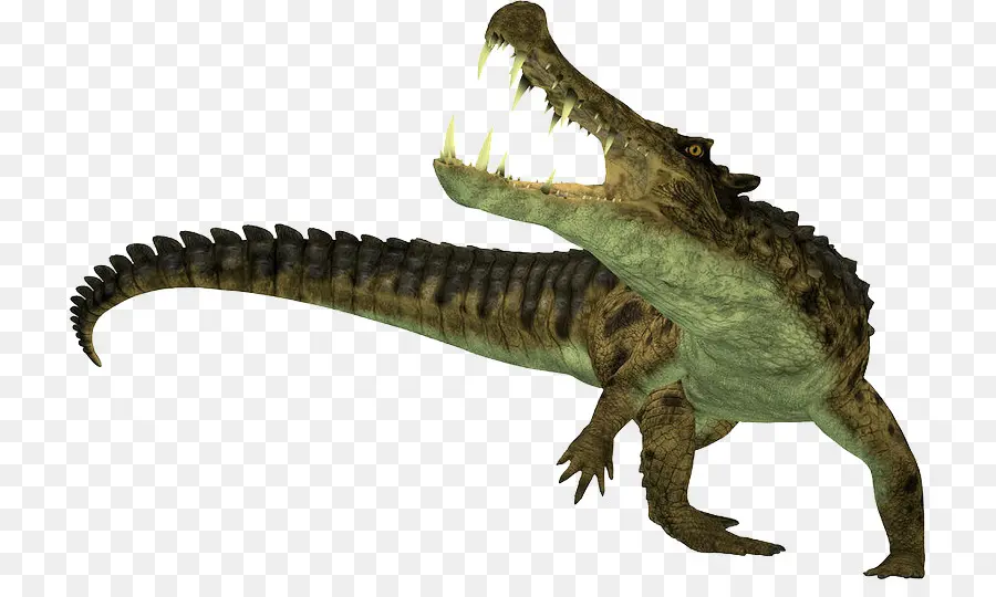 Crocodile，Sarcosuchus PNG