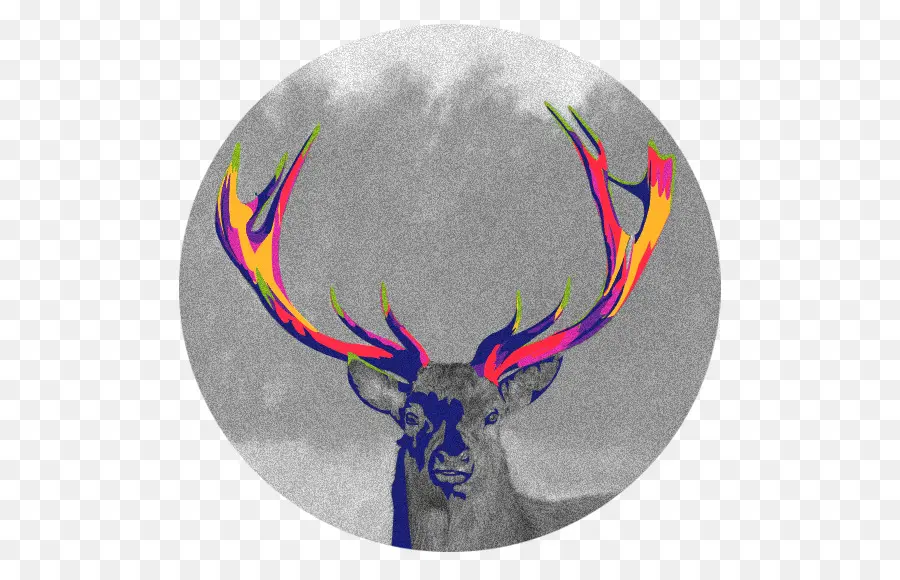 Cerf，Bois PNG