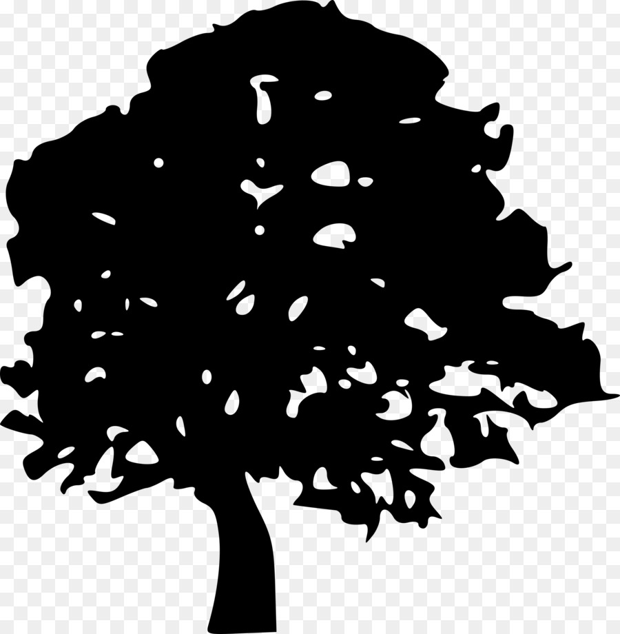 Silhouette D'arbre，Usine PNG