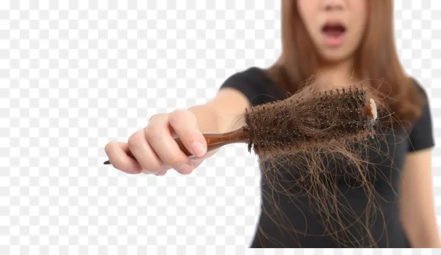 Brosse à Cheveux，Cheveux PNG