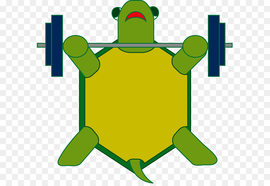 Tortue，Animal PNG