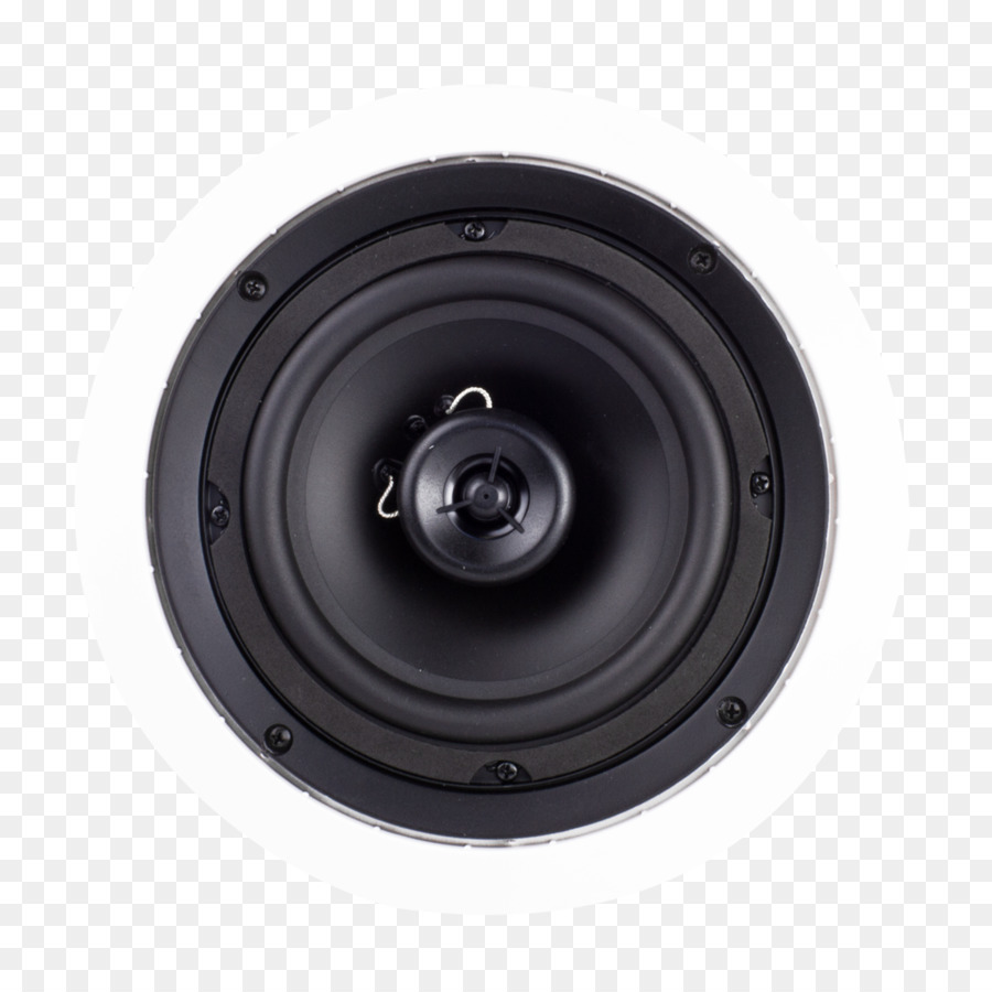 Conférencier，Audio PNG