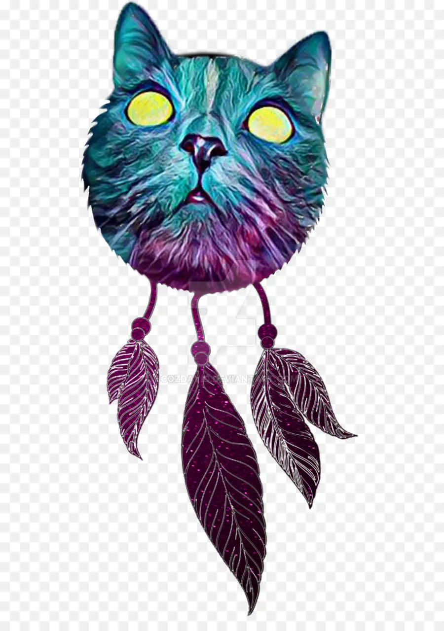 Chat，Plumes PNG