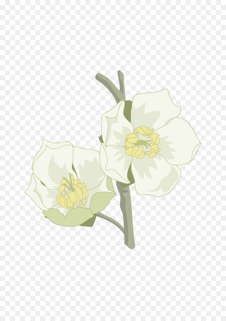 Fleur，Les Fleurs Coupées PNG