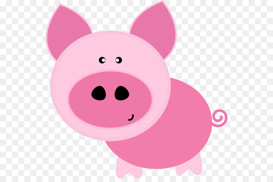 Cochon，Mignon PNG