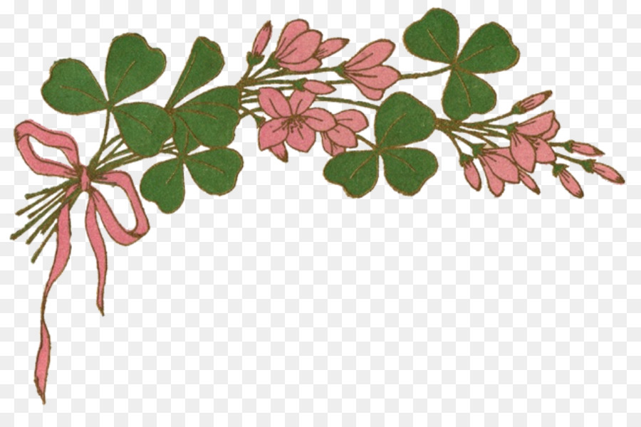 La Saint Patrick，Shamrock PNG