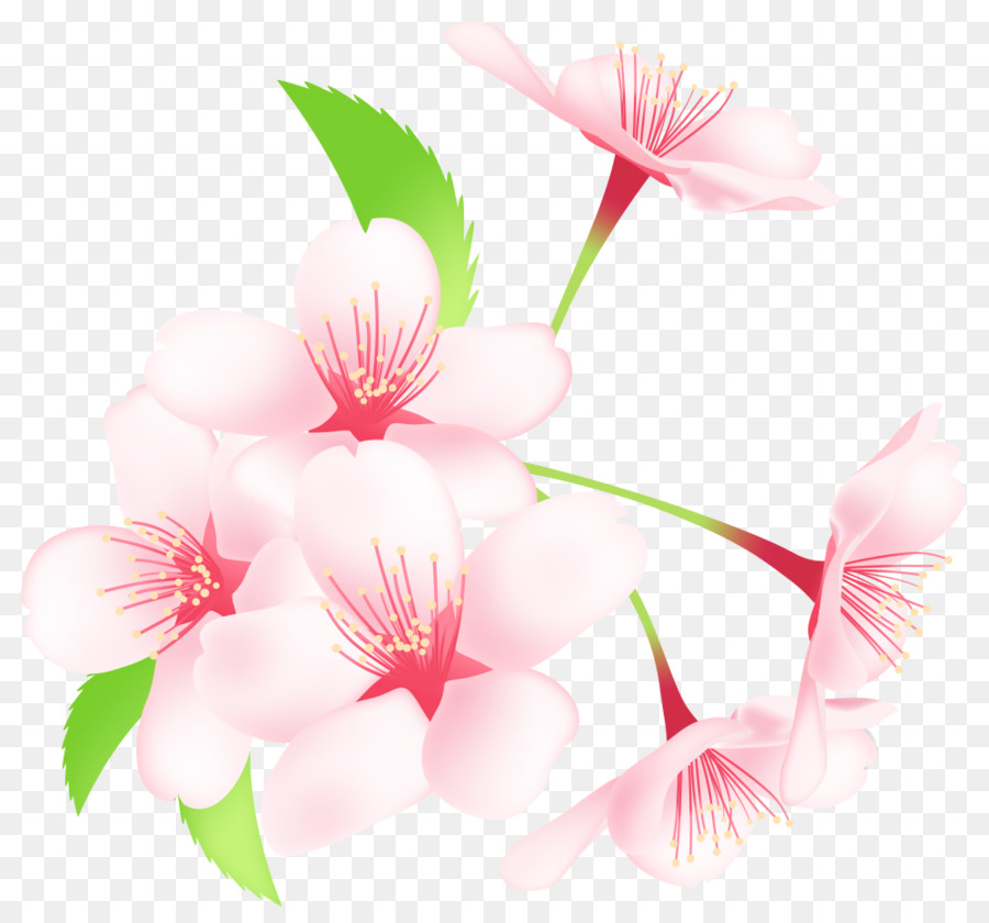 Fleur，Fleurir PNG