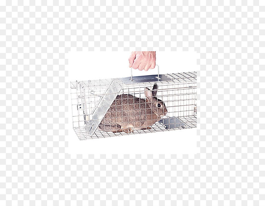 Piège à Lapin，Cage PNG