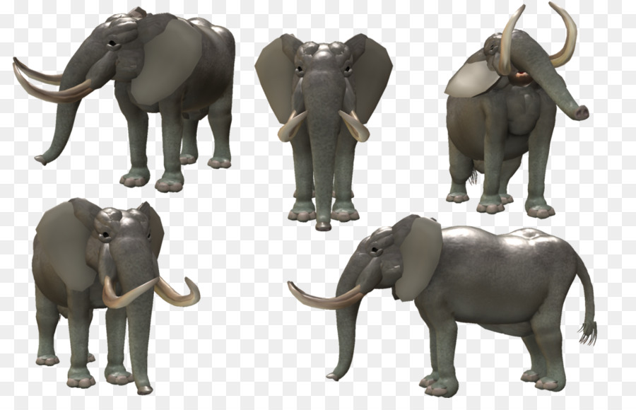 Éléphants，Faune PNG