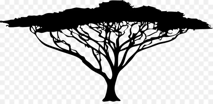 Silhouette D'arbre，Usine PNG