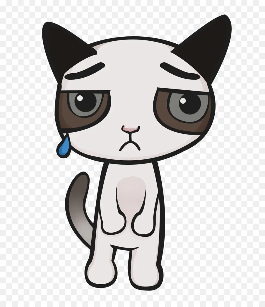 Chat Triste，Larmes PNG