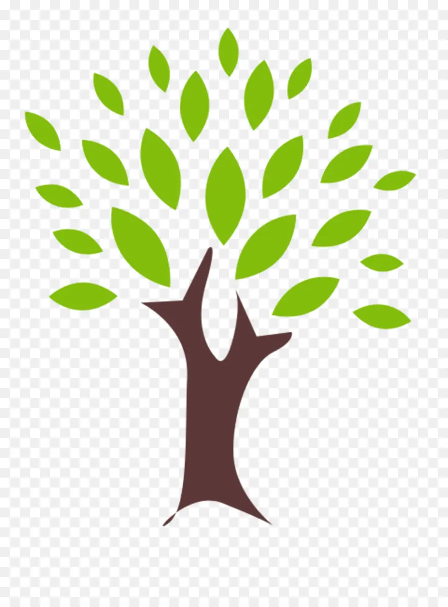 Arbre，Feuilles PNG