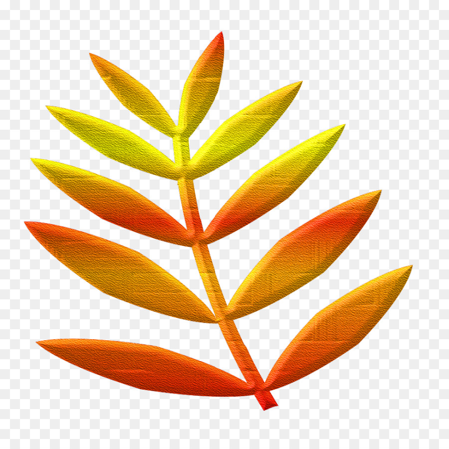 Feuille Colorée，Usine PNG