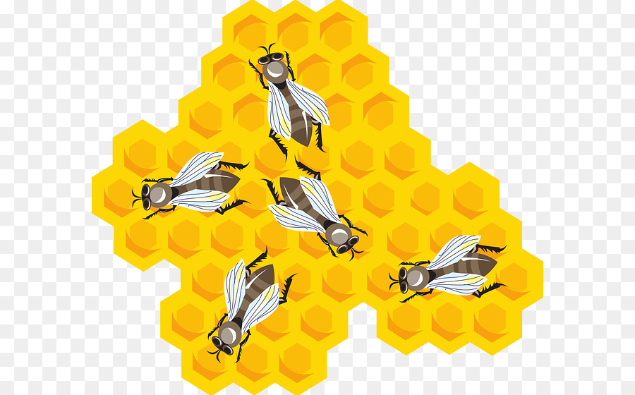 Abeille，La Ruche PNG