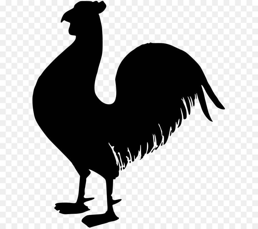 Poulet，Coq PNG