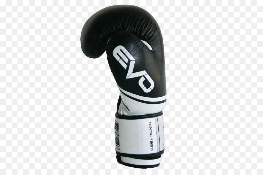 Gant De Boxe，D Articles De Sport PNG