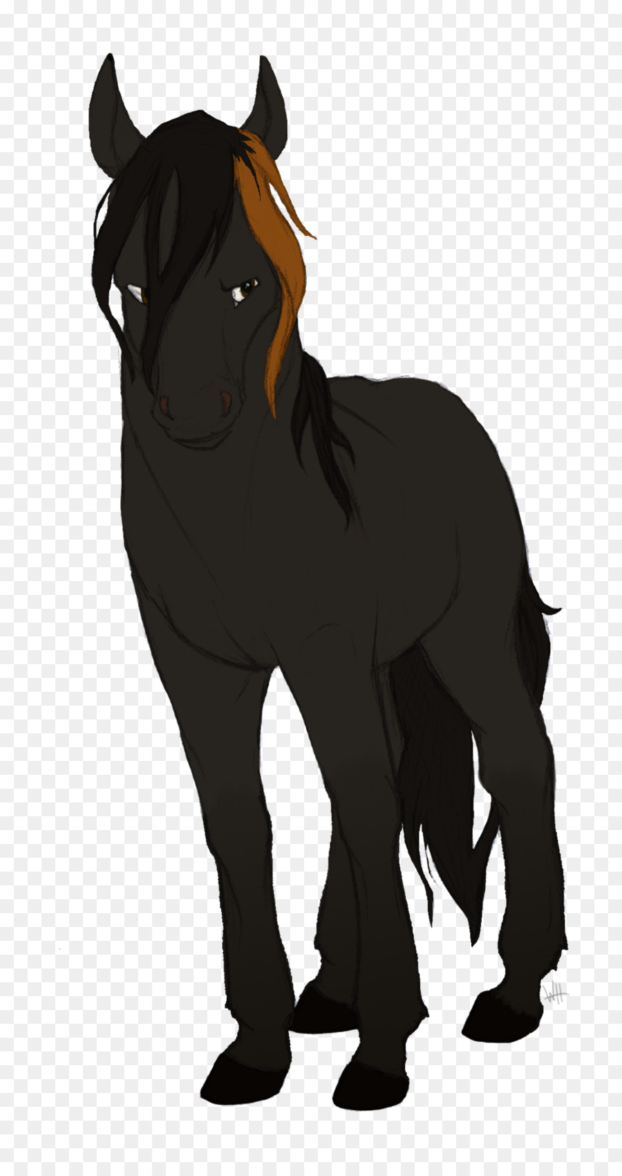 Poulain，Poney PNG