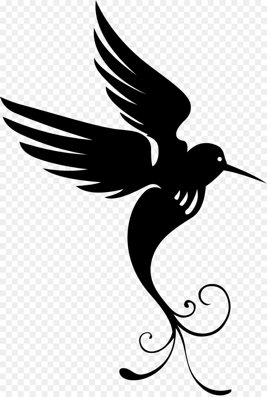 Colibri Noir，Silhouette PNG