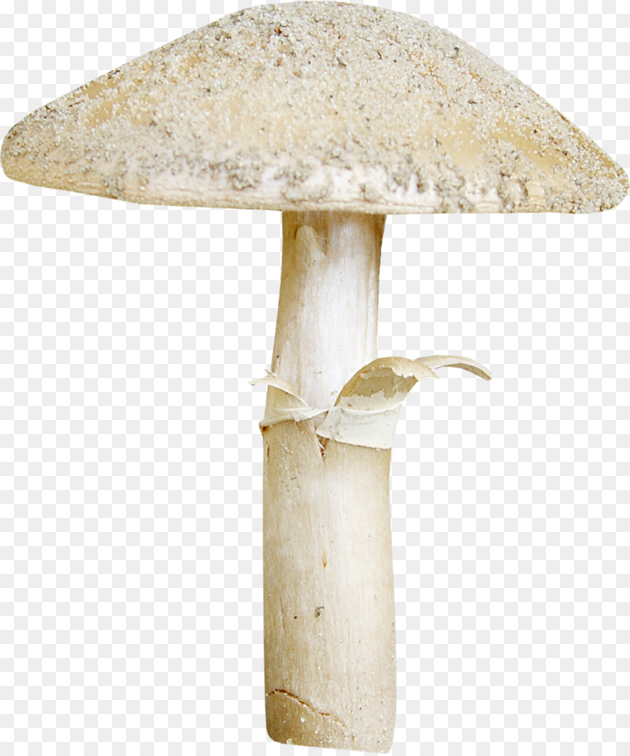 Champignons，Hericium Erinaceus PNG