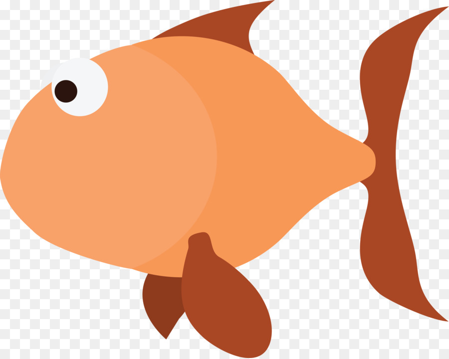 Poisson，Aquatique PNG