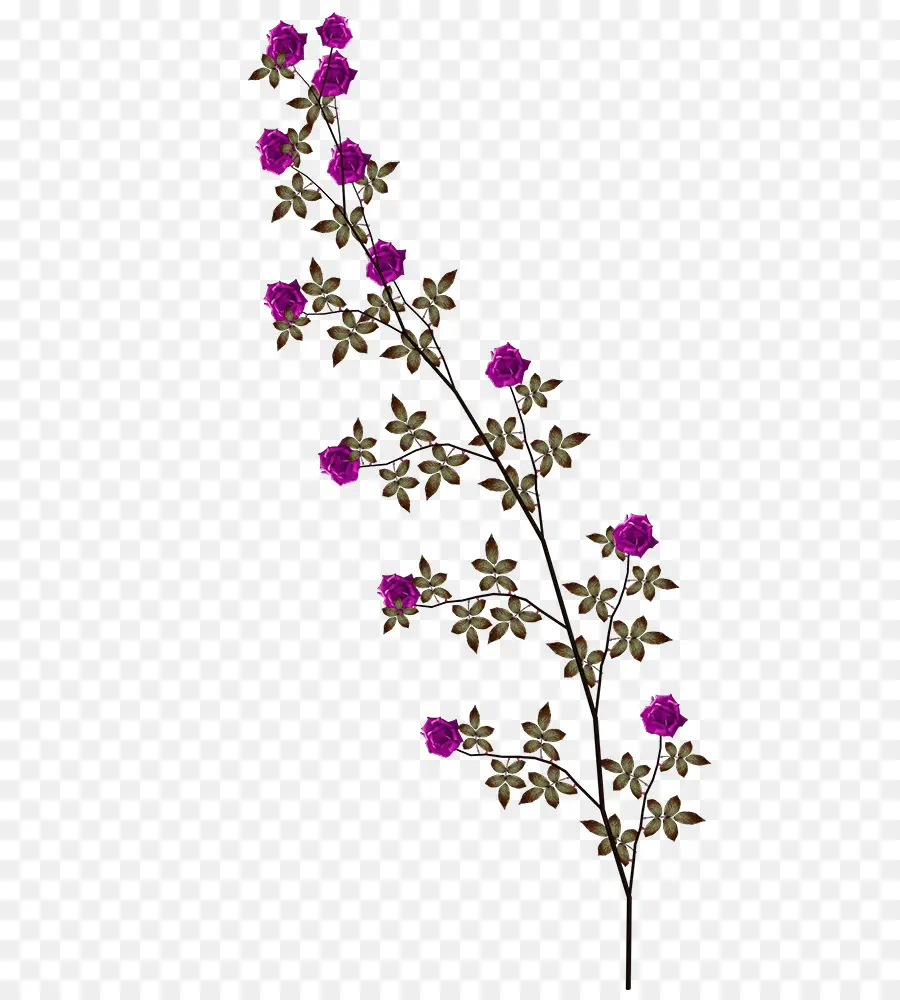 Branche Fleurie，Fleurs Violettes PNG