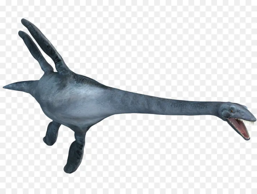 Elasmosaurus，Plesiosauria PNG