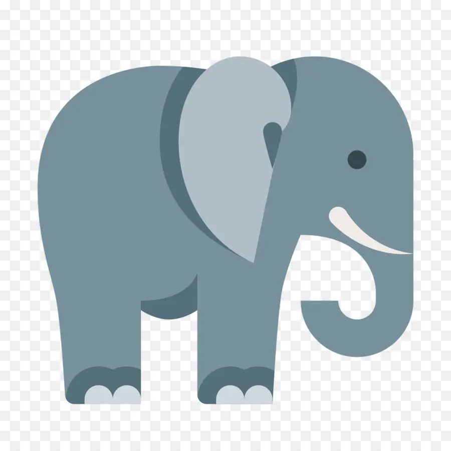 Éléphant，Mammifère PNG