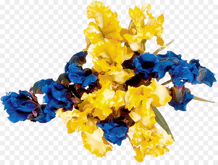 Fleur，Les Fleurs Coupées PNG