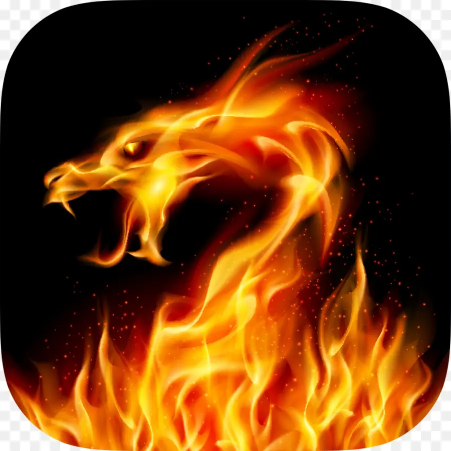 Dragon De Feu，Flammes PNG