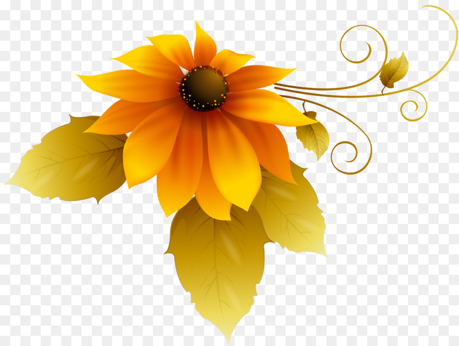 Fleurs，Tournesols PNG