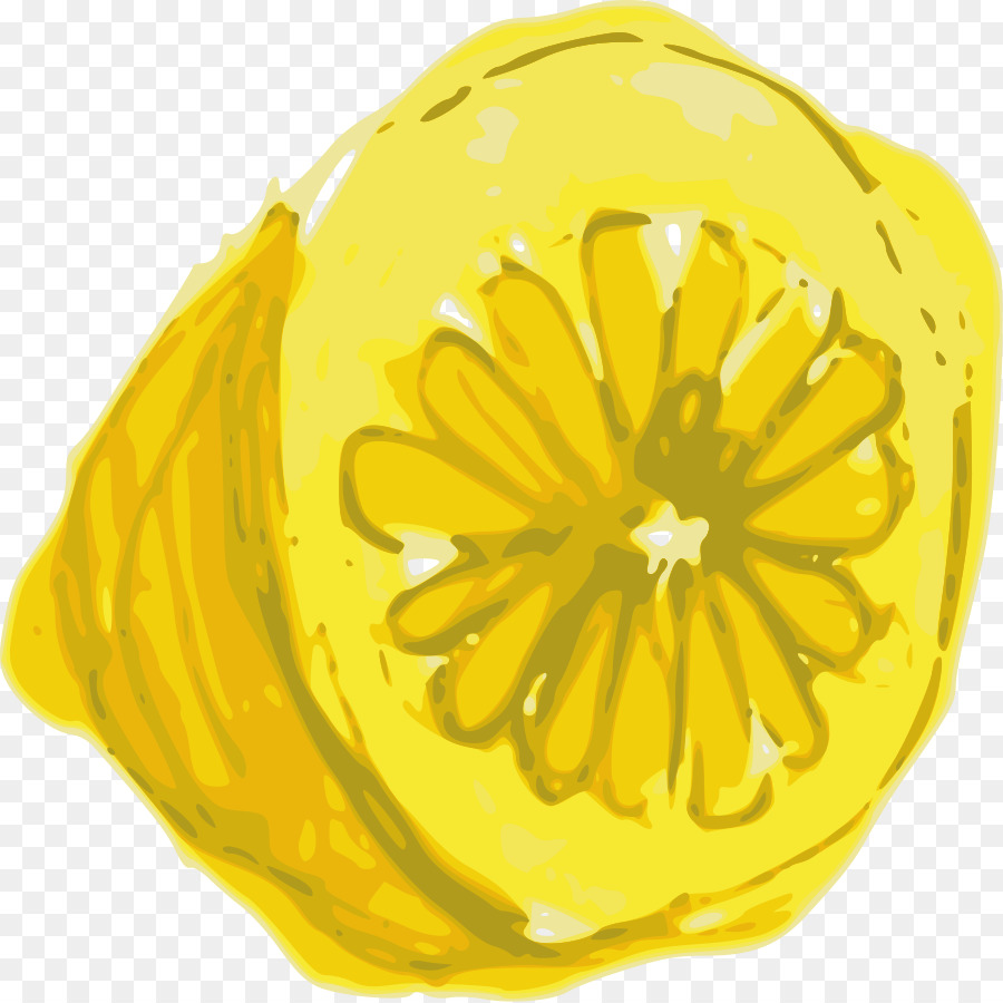 Citron，Ordinateur Icônes PNG