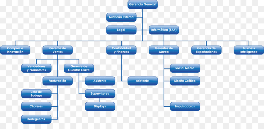 Organigramme，Structure PNG