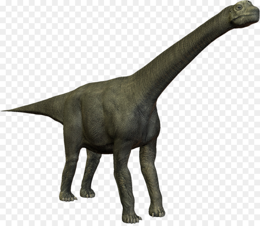 Dinosaure à Long Cou，Préhistorique PNG