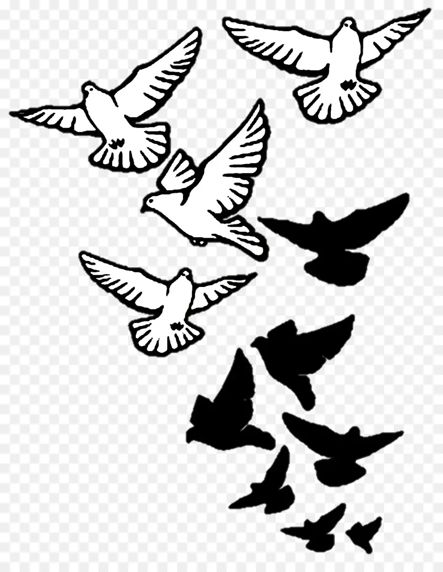 Oiseaux Volants，Silhouette PNG