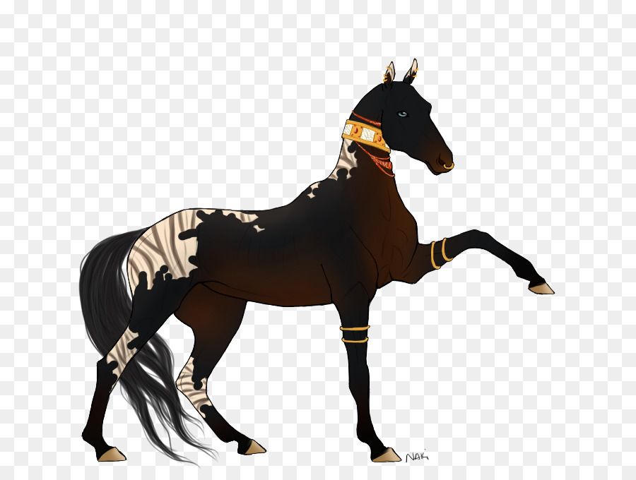 Cheval Zèbre，Zèbre PNG