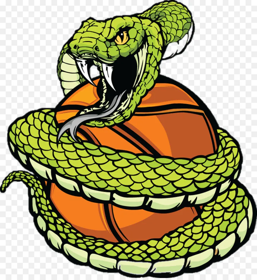 Serpent，Basket Ball PNG