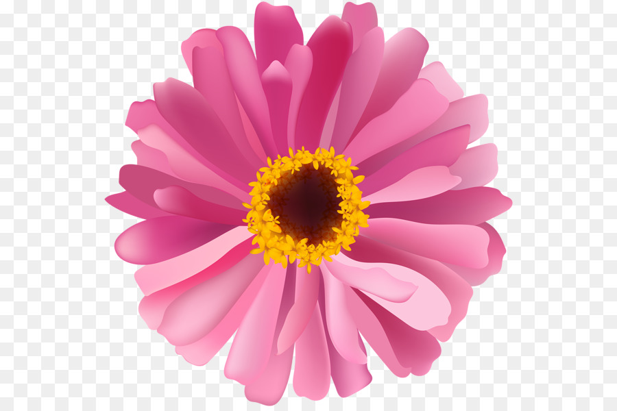 Fleur，Rose PNG