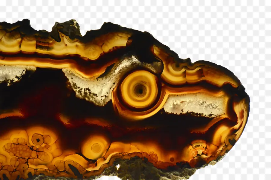 Agate，Modèle PNG