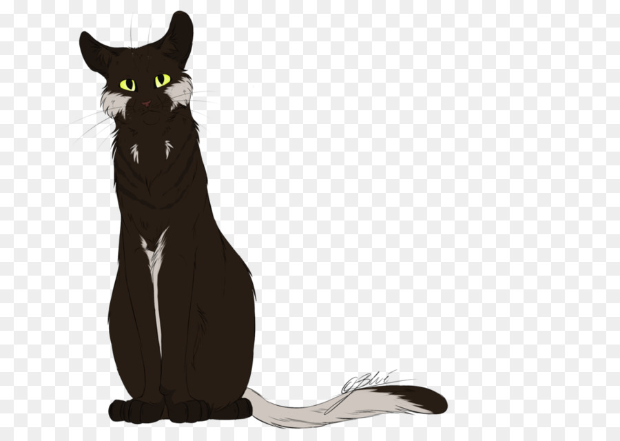 Chat，Animal De Compagnie PNG