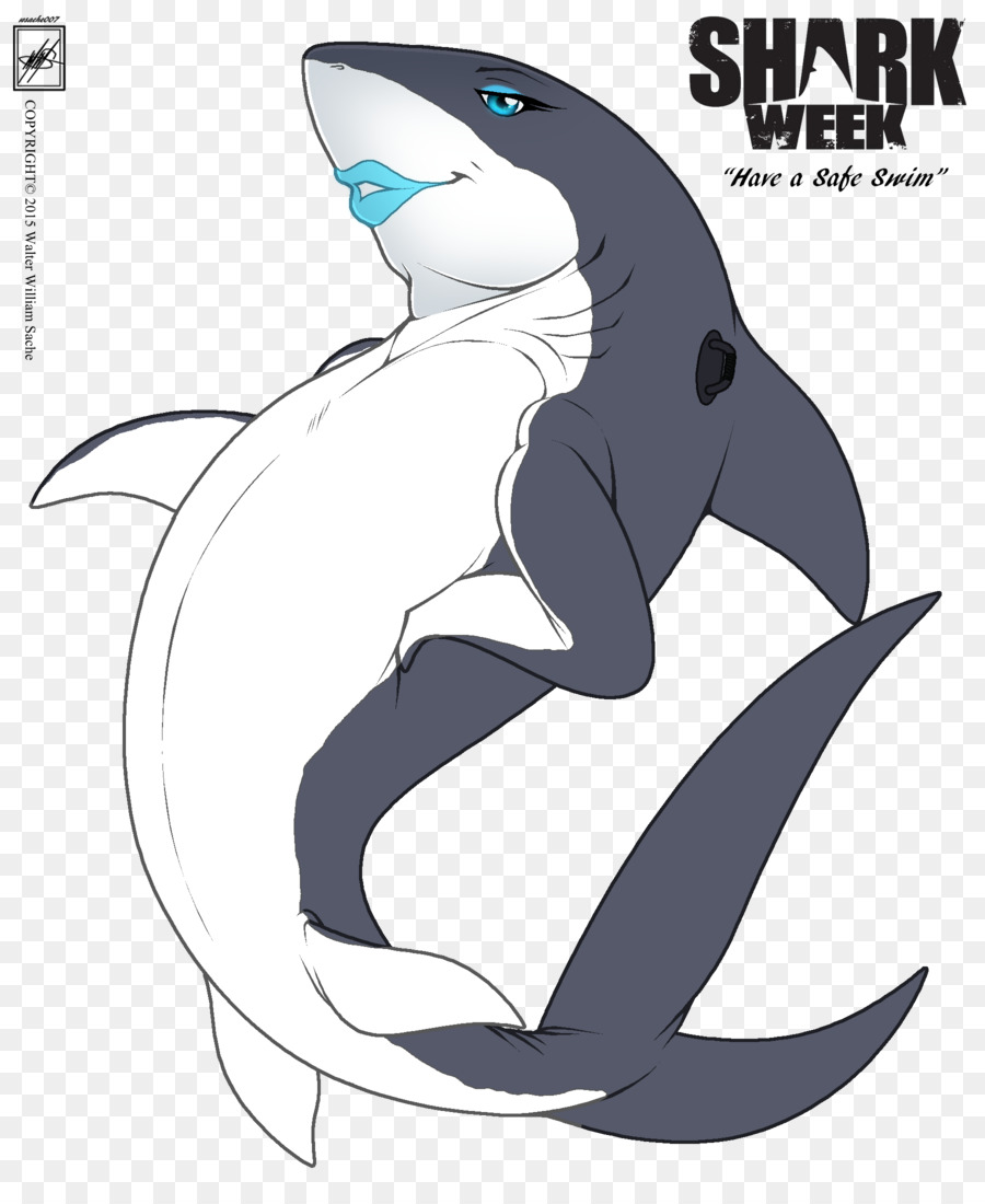 Requin，Gonflable PNG