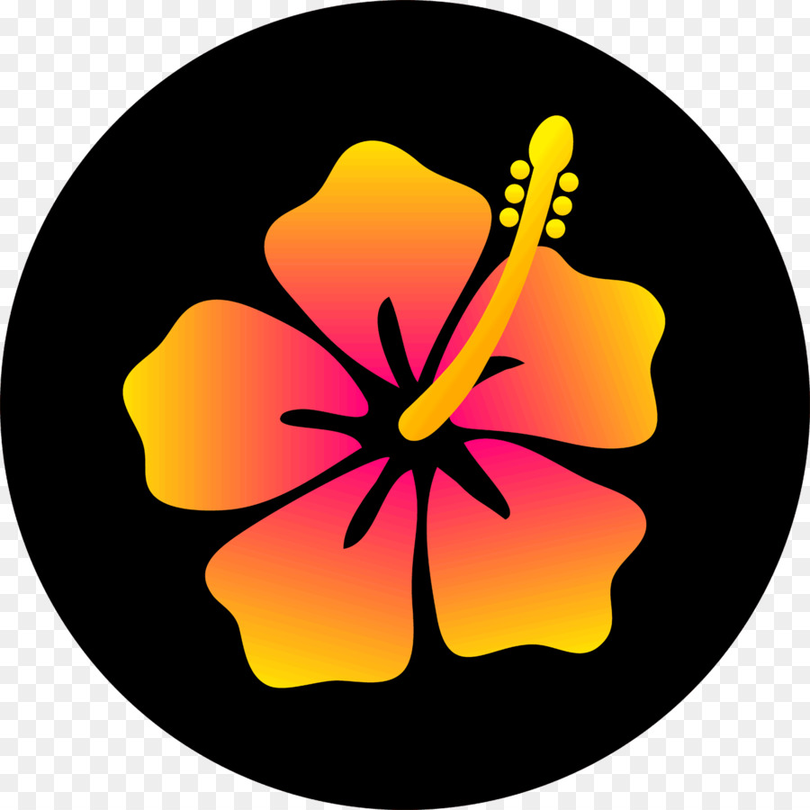 Hawaii Dessin Fleur Png Hawaii Dessin Fleur