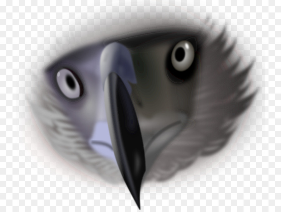 Oiseau，Télécharger PNG